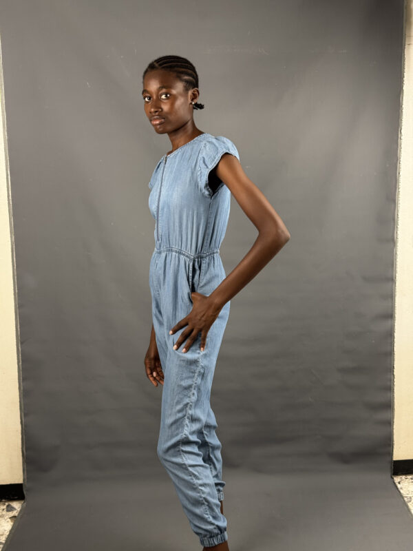 Blue Chambray Jumpsuit - Image 4