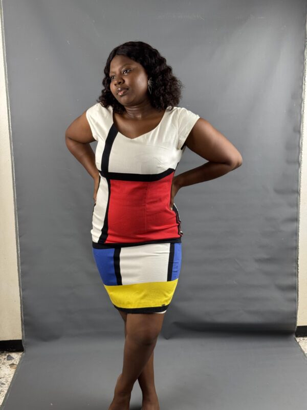 Bold Color Block dress